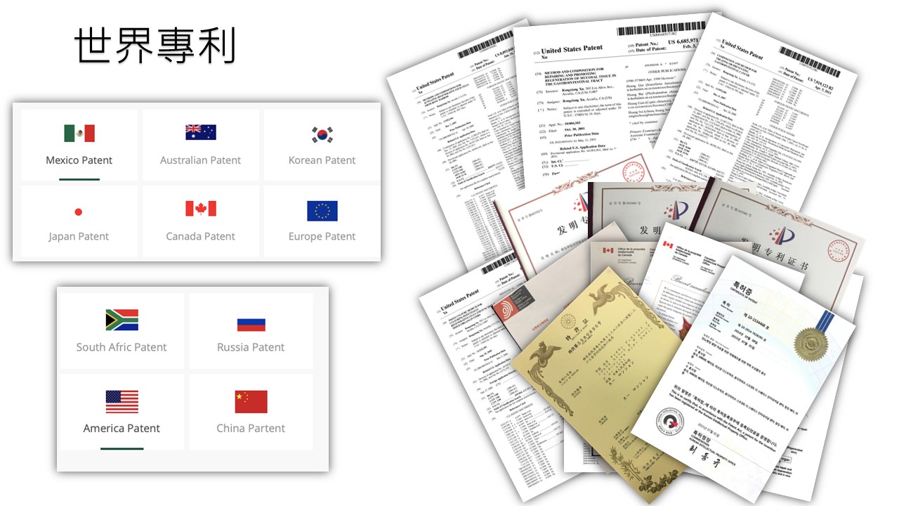 LifeRegen公司介紹