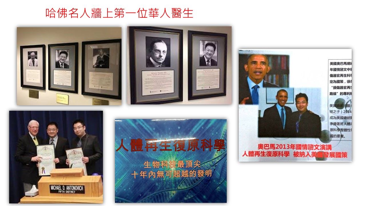 LifeRegen公司介紹